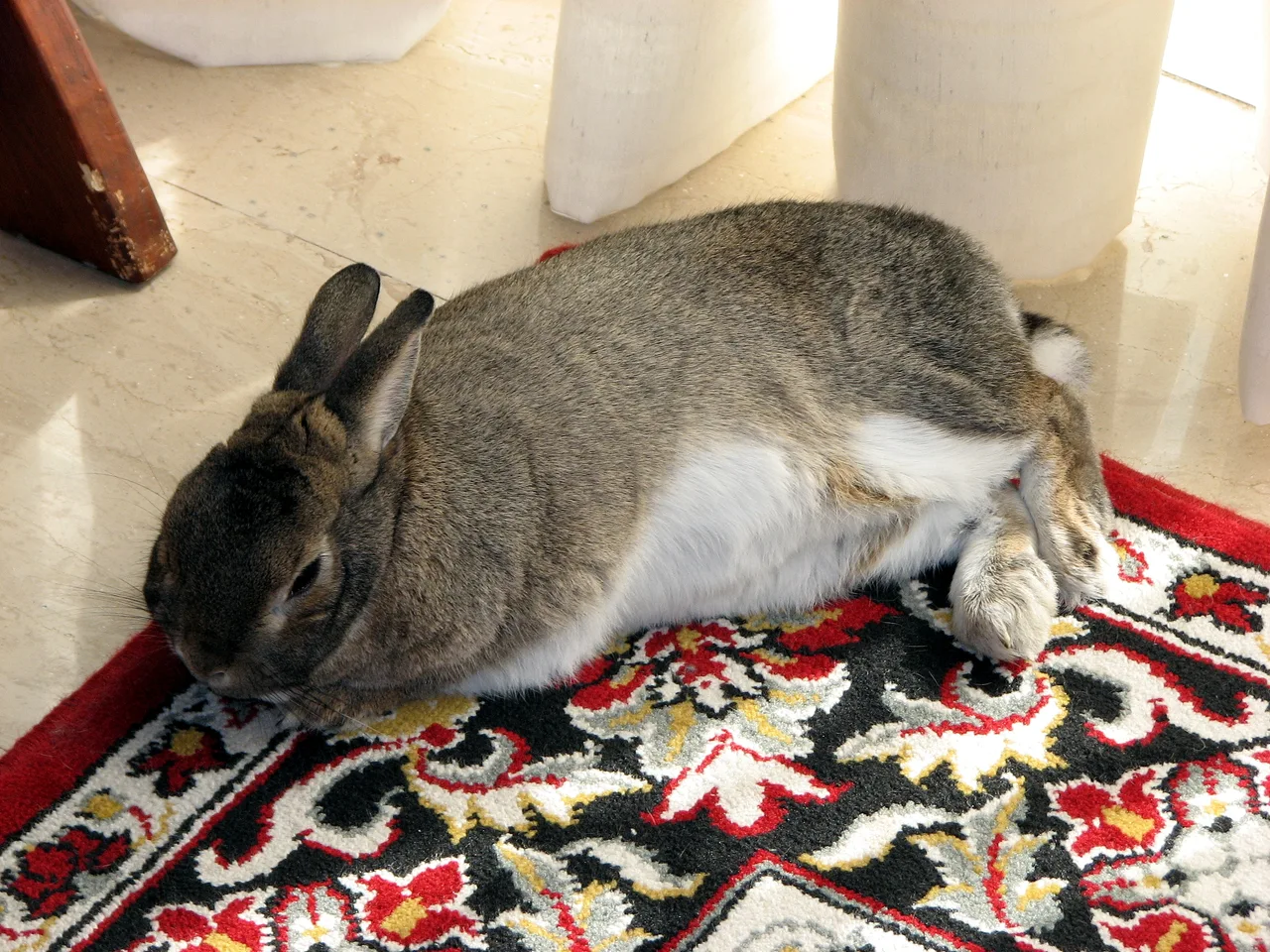 A domestic rabbit stretched out and resting on a rug.